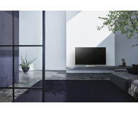 Sony KD49XE9005 - 1403276 - zdjęcie 8